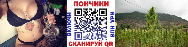сколько стоит  Щёлкино  Шишки марихуана OG Kush 